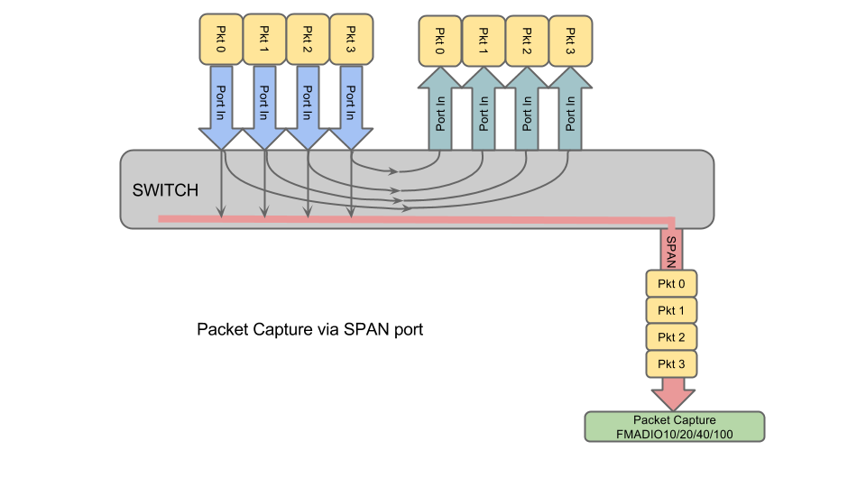 packet capture span port