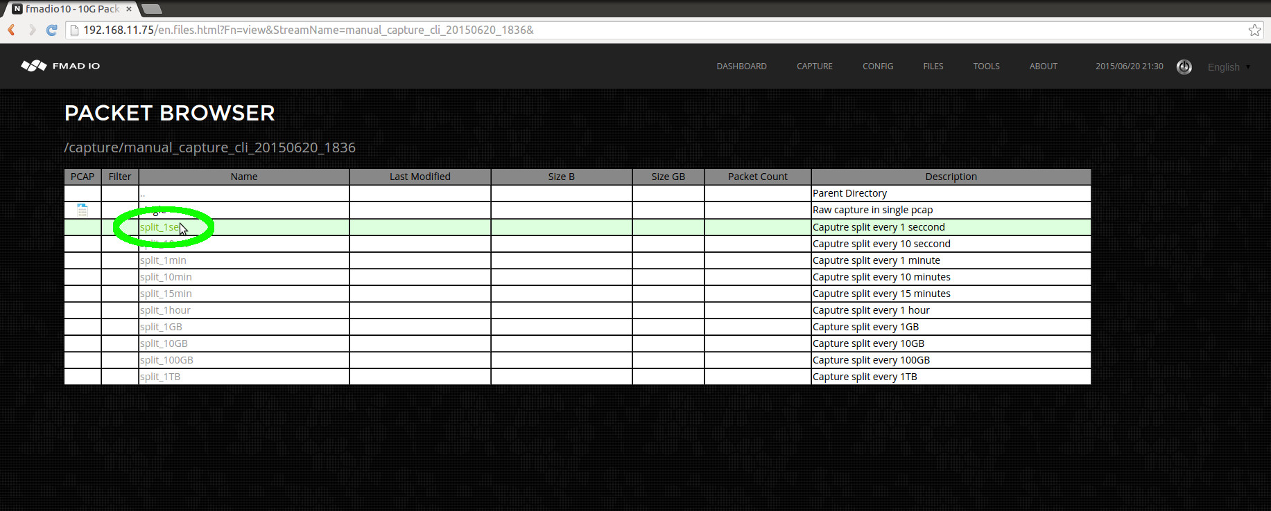 10g packet capture manual PCAP download split 1sec 