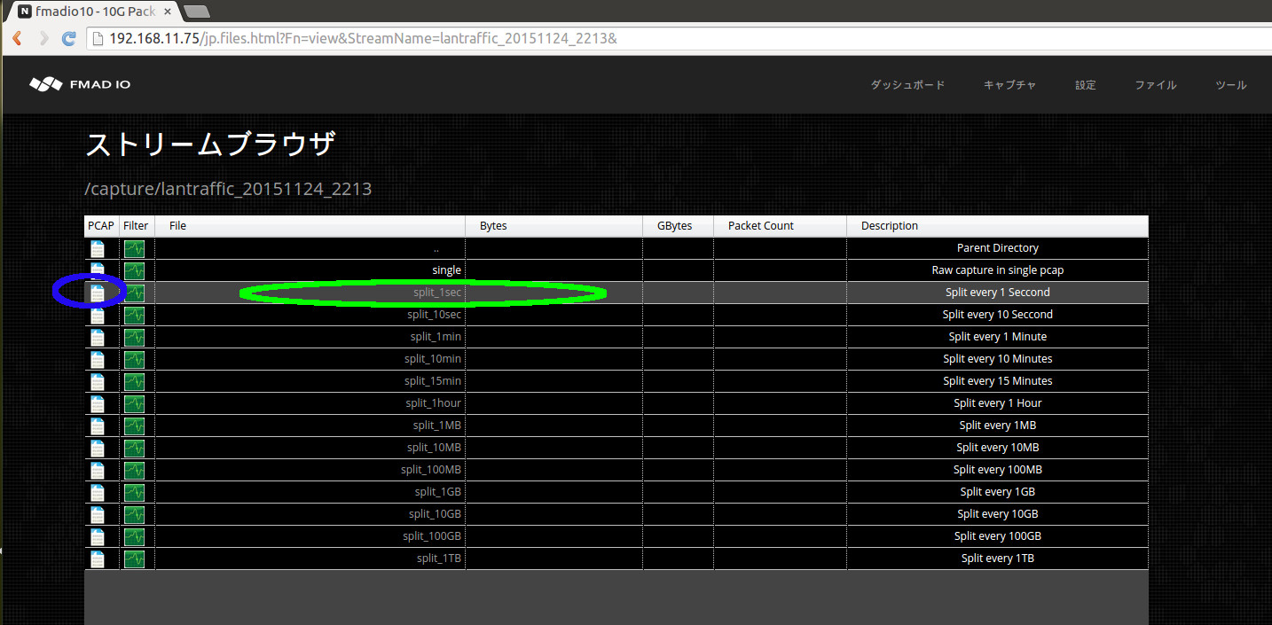 10g packet capture manual PCAP download split 1sec 